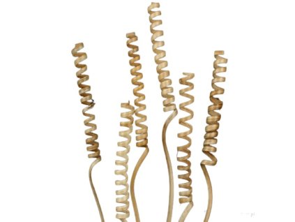 8382 cane spring mini 35 cm