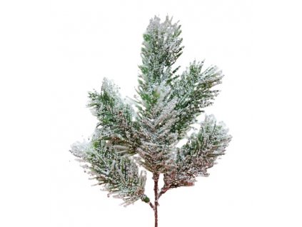 8556 haluzka zasnezena 01 30 cm