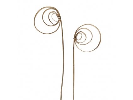 8652 cane coil mini 25 35 cm 1 ks