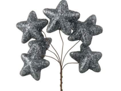 hviezdicky grafitove glitrove zvazok 6 ks