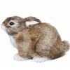 Zajačik hnedý 16 x 10 cm 1ks