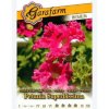 petunia velkokveta zmes farieb garafarm