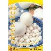 2388 cibula sadzacka snowball 200g