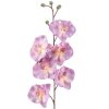 3906 umela orchidea l728 06