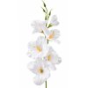 umela gladiola satenova biela