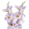 4602 umela gladiola satenova lila 54 cm