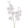 8088 umela orchidea biela 50 cm