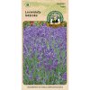 9249 levandula lekarska