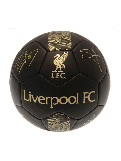 TM 00529 Liverpool FC Skill Ball Signature Gold PH