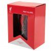 Halbliter LIVERPOOL FC Stein