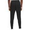 Pants PSG Strike black