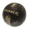 TM 00529 Liverpool FC Skill Ball Signature Gold PH 1