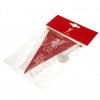 TM 01538 Liverpool FC Triangular Mini Pennant 2