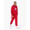 Sweatshirt BAYERN MUNICH Essential red