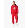 Sweatshirt BAYERN MUNICH Essential red