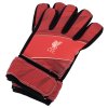 TM 04484 Liverpool FC Fuse Goalkeeper Gloves Kids