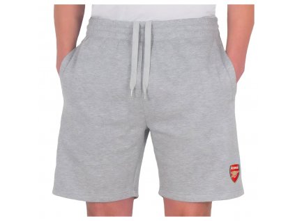 Pánske šortky Arsenal FC, šedé