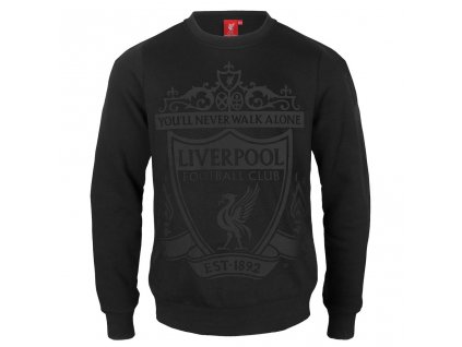 Detská mikina Liverpool FC silver