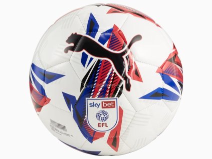 4b9dc5a29c55be3c74b7b1b553f5621c