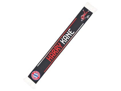 2337195d1319862f2820c18512c1a04e