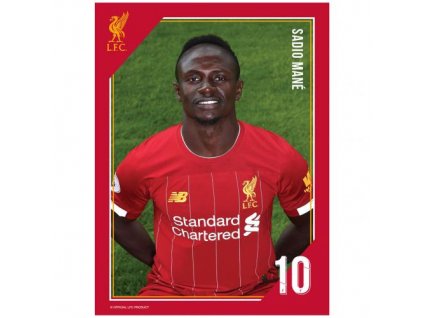 Tlačená fotografia Liverpool 15/20cm Mane