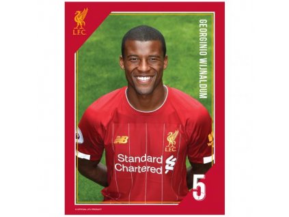 Tlačená fotografia Liverpool 15/20cm Wijnaldum