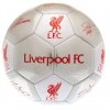 Futbalová lopta Liverpool FC, strieborná, podpisy, veľ. 5