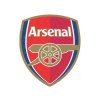 Drevené puzzle Arsenal FC, znak klubu, 270 ks