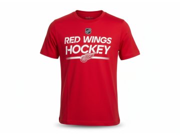 Dětské tričko Detroit Red Wings NHL Apro Wordmark Ss Ctn Tee