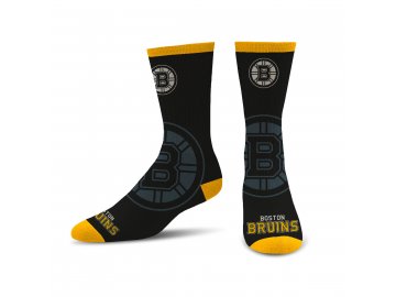 504 Boston Bruins Still Fly