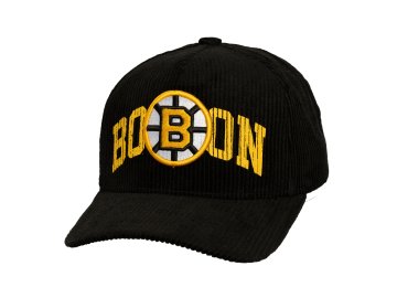Pánská kšiltovka Boston Bruins NHL Arch Stamp Pro Snapback