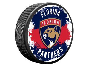 Puk Florida Panthers NHL Splash