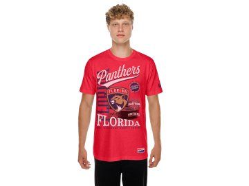 Pánské tričko Florida Panthers NHL US Edit 2