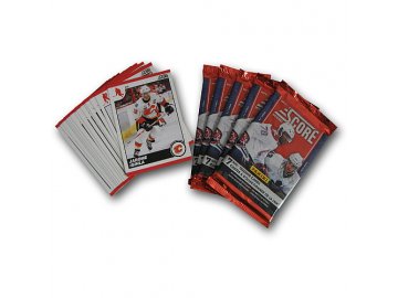 Karty NHL - Calgary Flames 2010-11 Team Trading Card Set with 6 Card Packs!