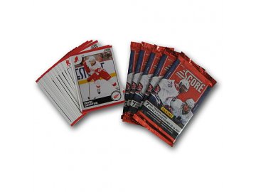 Karty NHL - Detroit Red Wings 2010-11 Team Trading Card Set with 6 Card Packs!