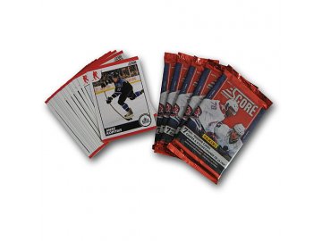 Karty NHL - Los Angeles Kings 2010-11 Team Trading Card Set with 6 Card Packs!