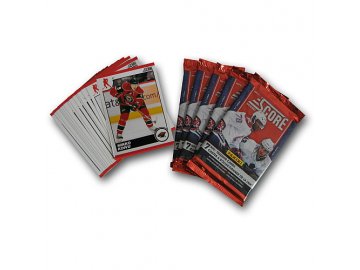 Karty NHL - Minnesota Wild 2010-11 Team Trading Card Set with 6 Card Packs