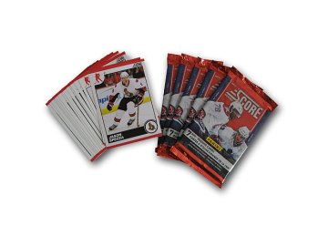 Karty NHL - Ottawa Senators 2010-11 Team Trading Card Set with 6 Card Packs!