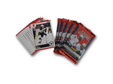 Karty NHL - St. Louis Blues 2010-11 Team Trading Card Set with 6 Card Packs!