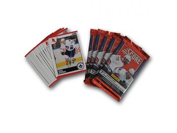 Karty NHL - Toronto Maple Leafs 2010-11 Team Trading Card Set with 6 Card Packs!