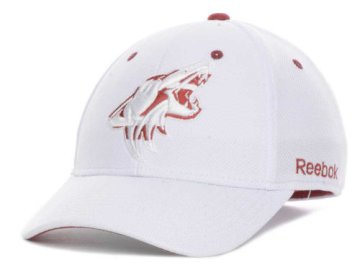 NHL Kšiltovka Arizona Coyotes (Phoenix Coyotes) White Out Flex
