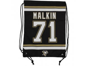 NHL vak Evgeni Malkin Pittsburgh Penguins