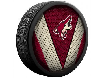 Puk Arizona Coyotes Stitch Stitch