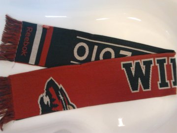 Šála - Helsinki 2010 - Minnesota Wild