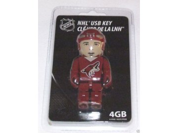 USB flash disk Arizona Coyotes 4GB