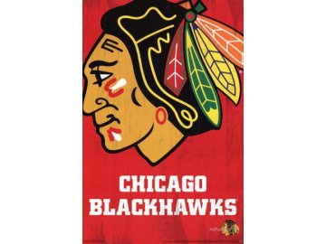 NHL Plakát Chicago Blackhawks Team Logo Cut