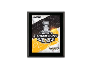 Pittsburgh Penguins Fanatics Authentic 2017 Stanley Cup Champions 10.5" x 13" Champions Logo Sublimated Plaque