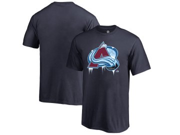 Dětské tričko Colorado Avalanche Fan Favorite Team Slogan