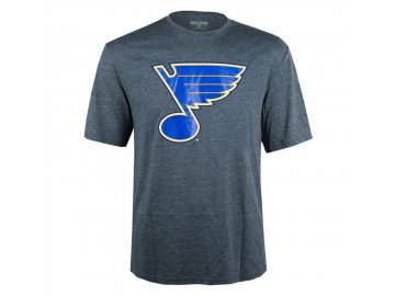 CORE LOGO ST. LOUIS