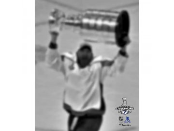 Fotografie Tampa Bay Lightning 2020 Stanley Cup Champions Curtis McElhinney 8 x 10